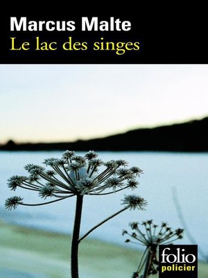 cover image of Le lac des singes